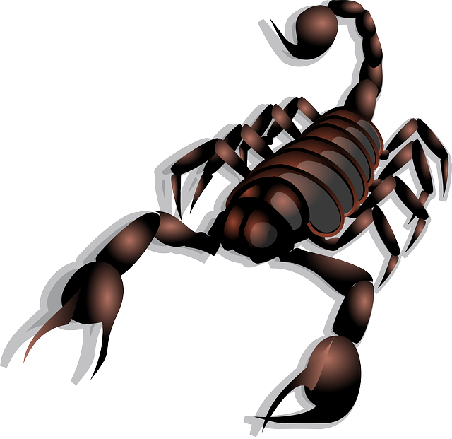 1f982, Scorpion = Scorpio - Scorpion Clip Art (640x621)