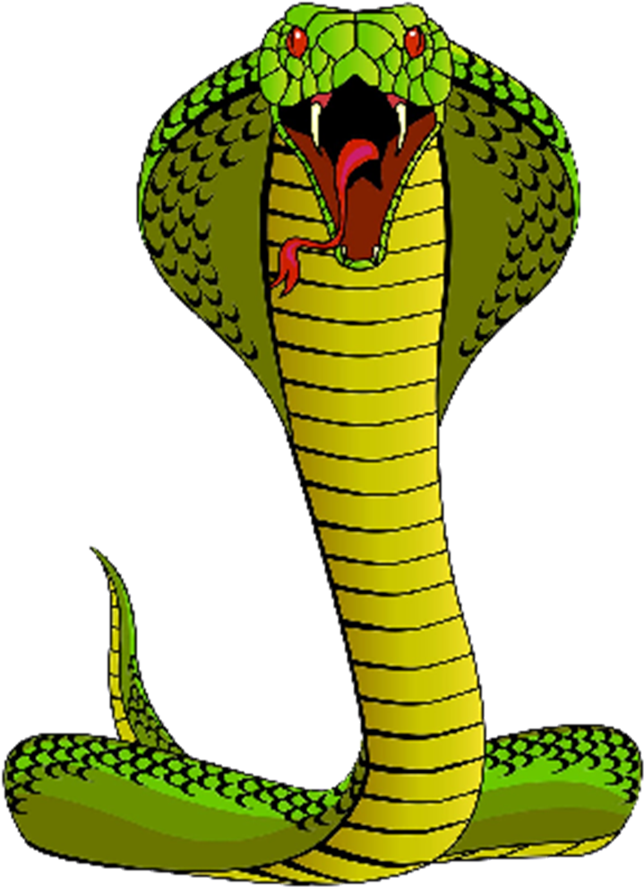 Cobra - Snake Vector (1000x1000)