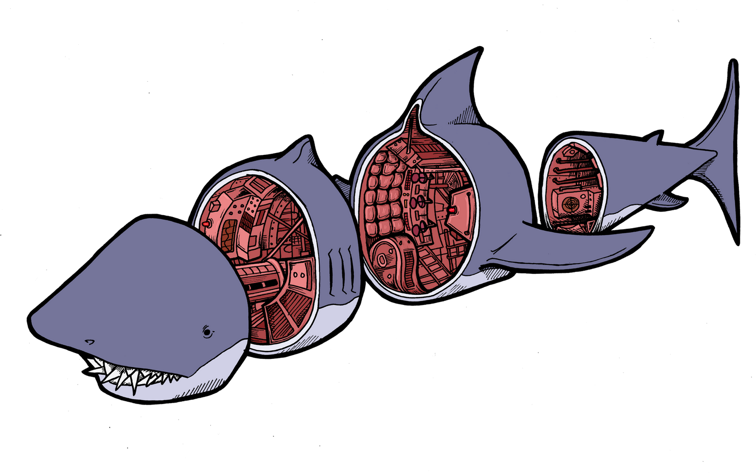 Wednesday, 30 May - Shark (1600x976)