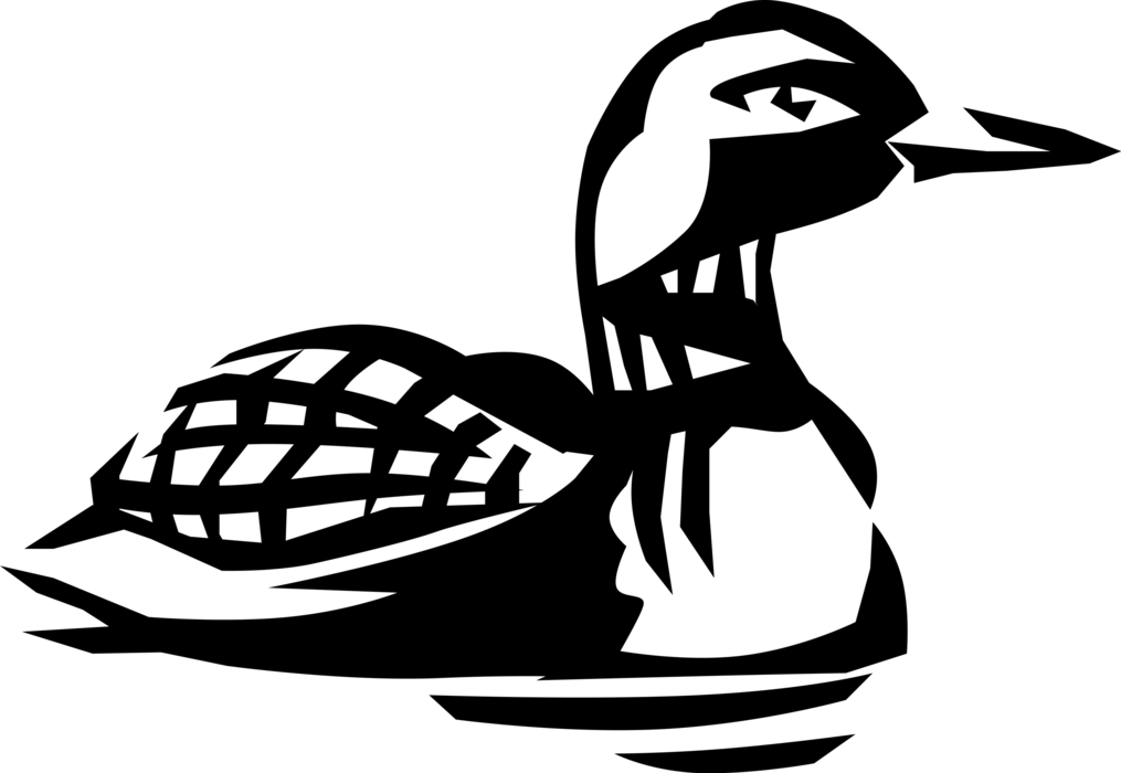 Vector Illustration Of North American Aquatic Diving - Vector Illustration Of North American Aquatic Diving (1015x700)