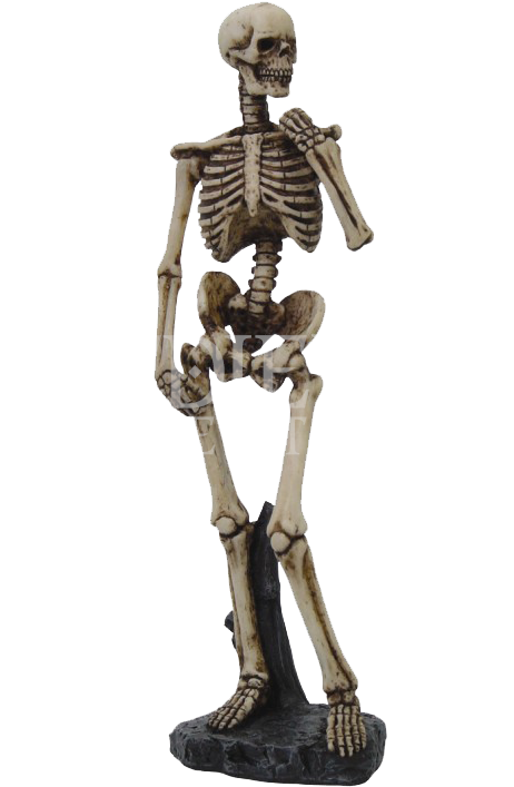 Skeleton - Corset Skeleton Sculpture (726x726)