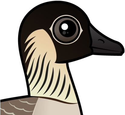 About The Hawaiian Goose - Nene (440x440)