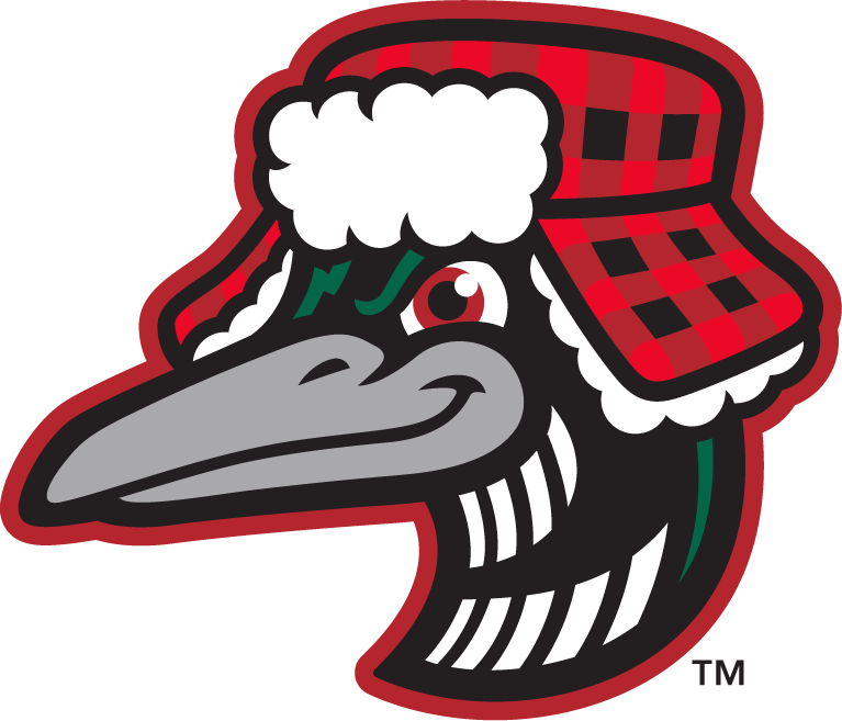 New Great Lake Loons Logo Evokes Summertime In Michigan - Great Lakes Loons Logos (767x657)