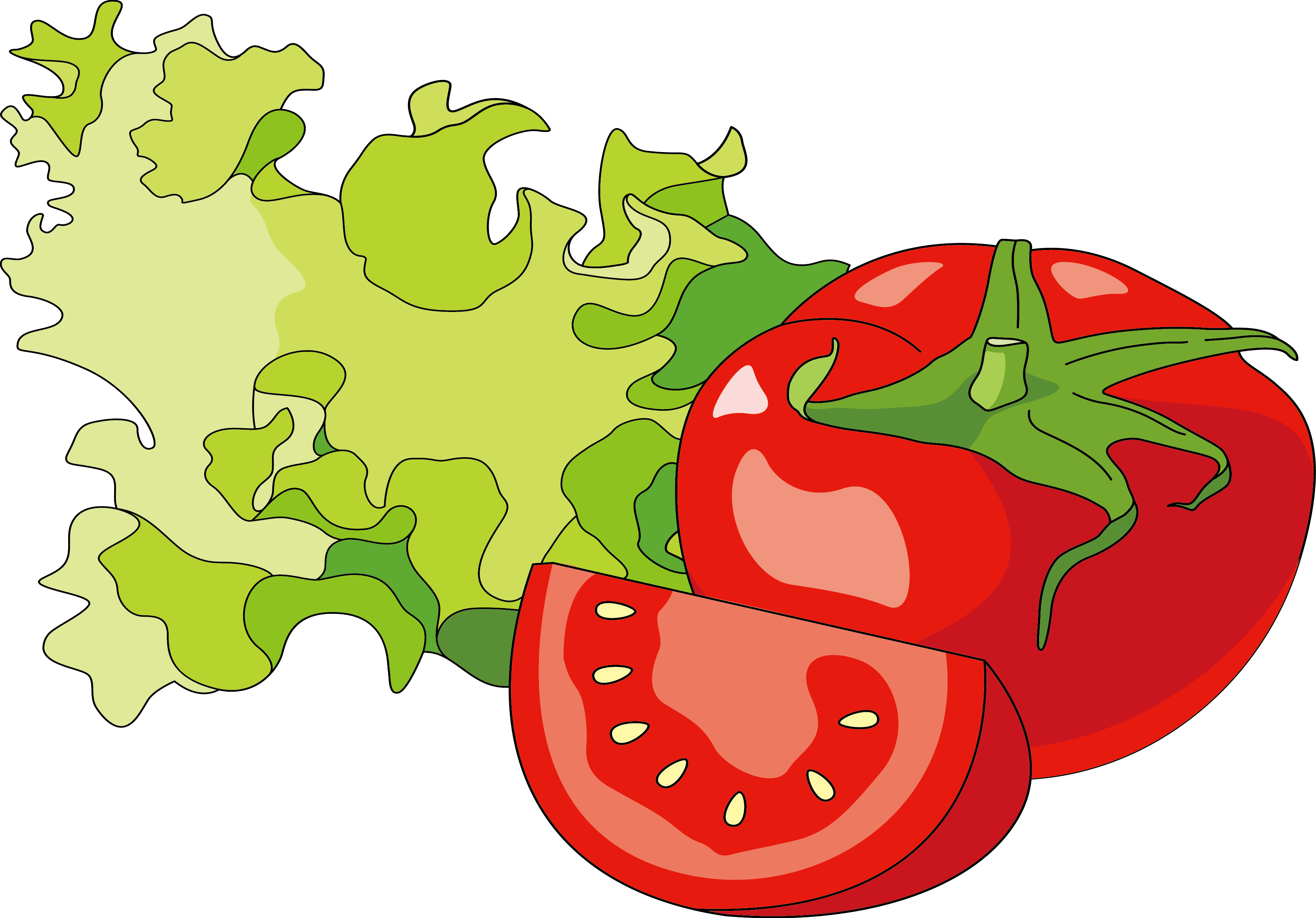 Hot Dog Hamburger Tomato Illustration - Tomato Illustration Png (3668x2560)