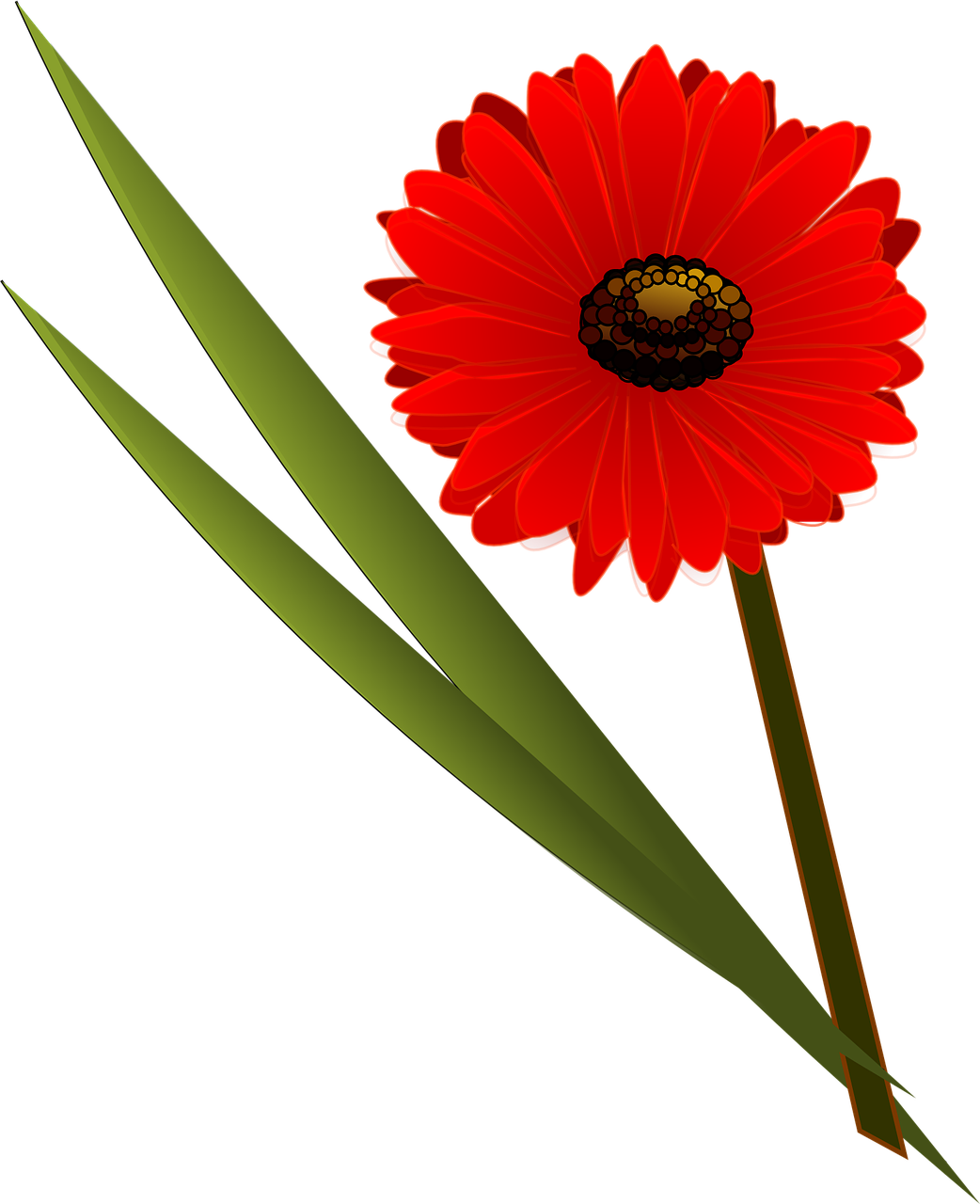 Similar Clip Art - Flower Clip Art (1042x1280)