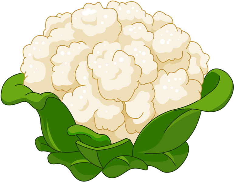 Cauliflower Cartoon Royalty-free Clip Art - Cauliflower Cartoon (800x800)