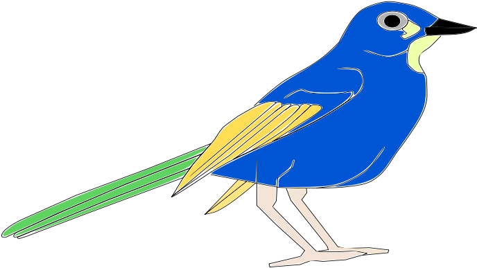 Art Animal - Pajaro Clipart (900x400)