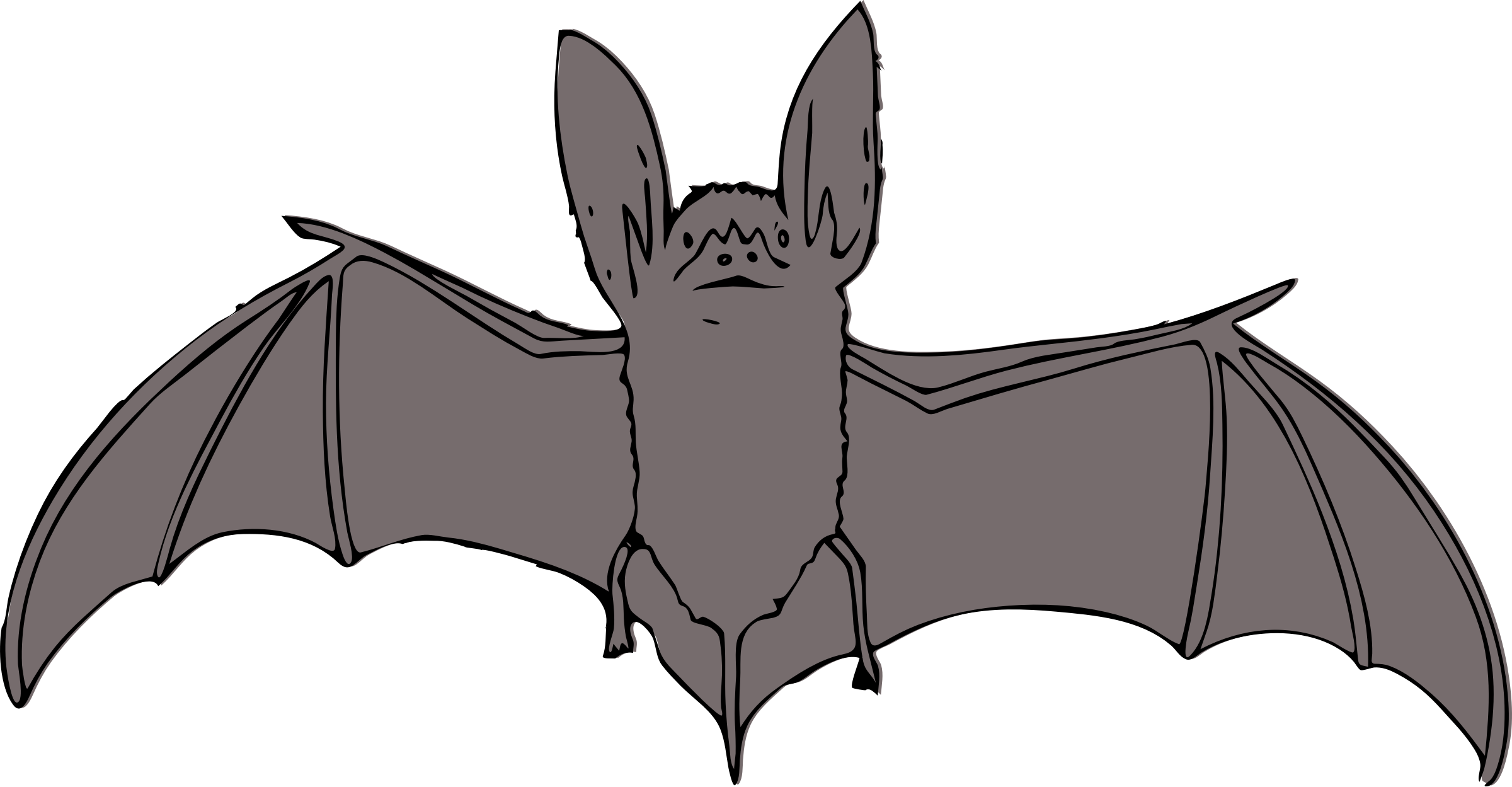Exclusive Ideas Clipart Bat - Bat Clip Art (2400x1249)