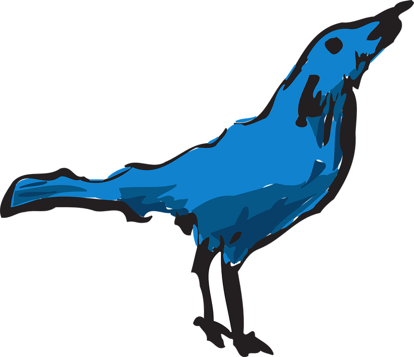 Feathers Blue, Drawing, Bird, Wings, Art, Animal, Feathers - Bird (834x720)