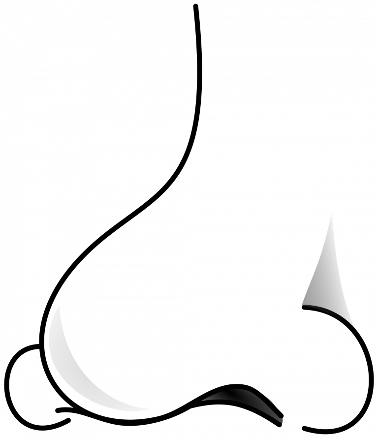 Download Fetching Nose Clipart Black And White - Download Fetching Nose Clipart Black And White (768x890)