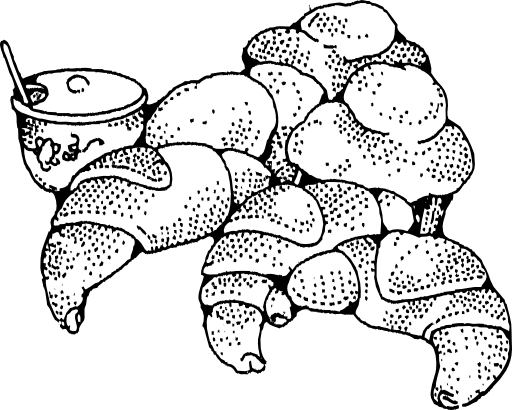 Croissant Clip Art (512x410)