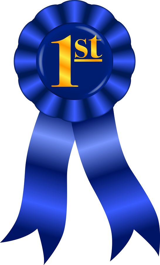 Blue Ribbon Prize Award Clip Art - 1st Place Ribbon Clip Art (546x900)