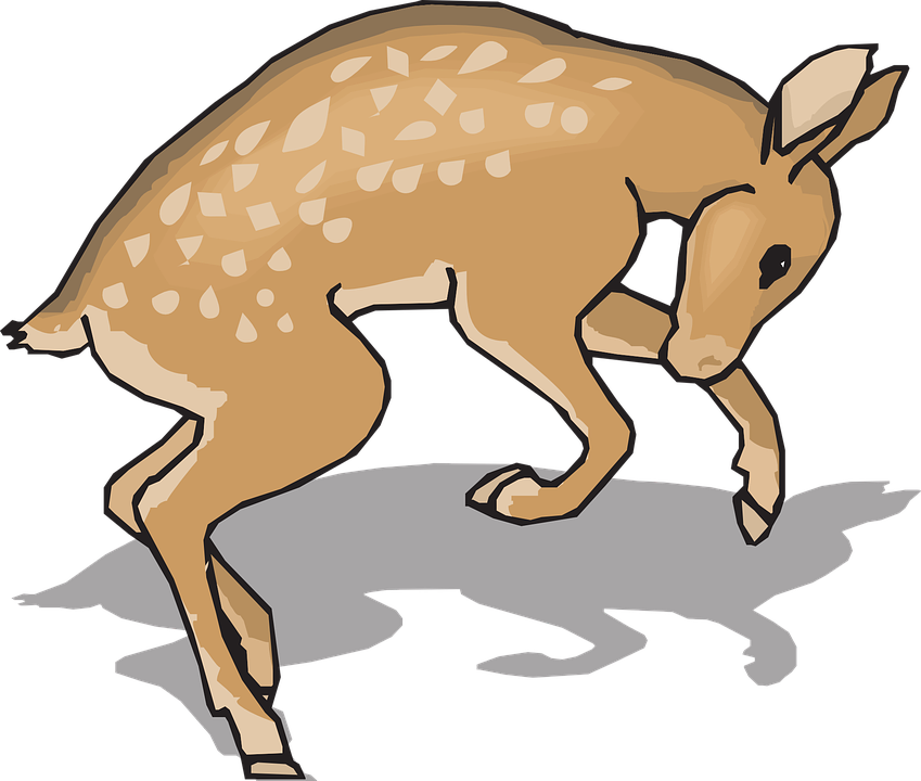 Cartoon Kangaroo 19, - Clip Art (849x720)