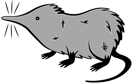 Get In Touch - Shrew (474x303)