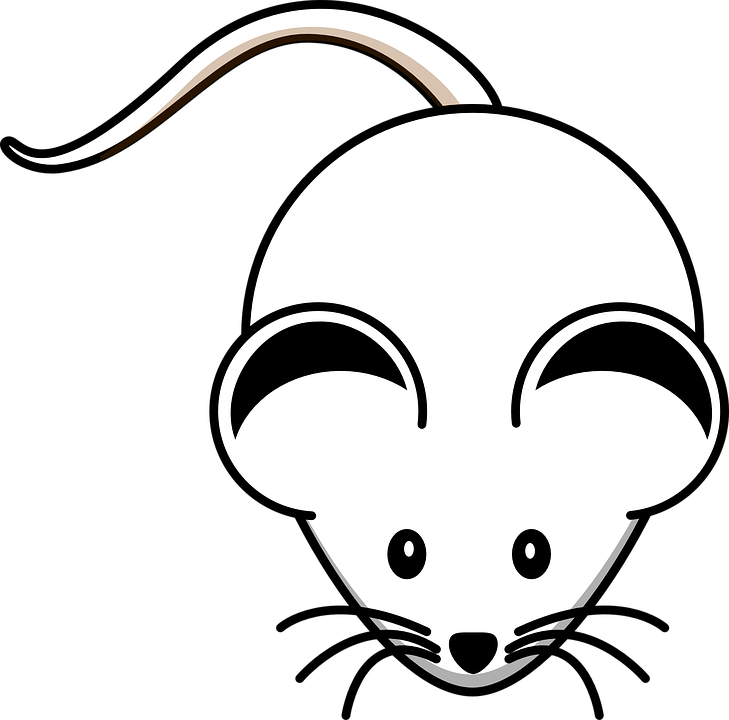 Rodent Clipart Mouse Face - Mouse Black And White Clipart (729x720)