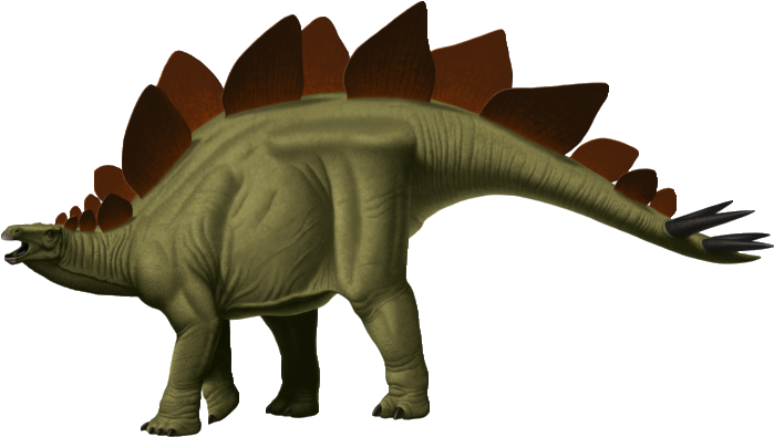 Stegosaurus Dinosaur - Stegosaurua Png (700x404)