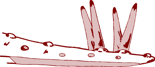 Stegosaurus (600x260)