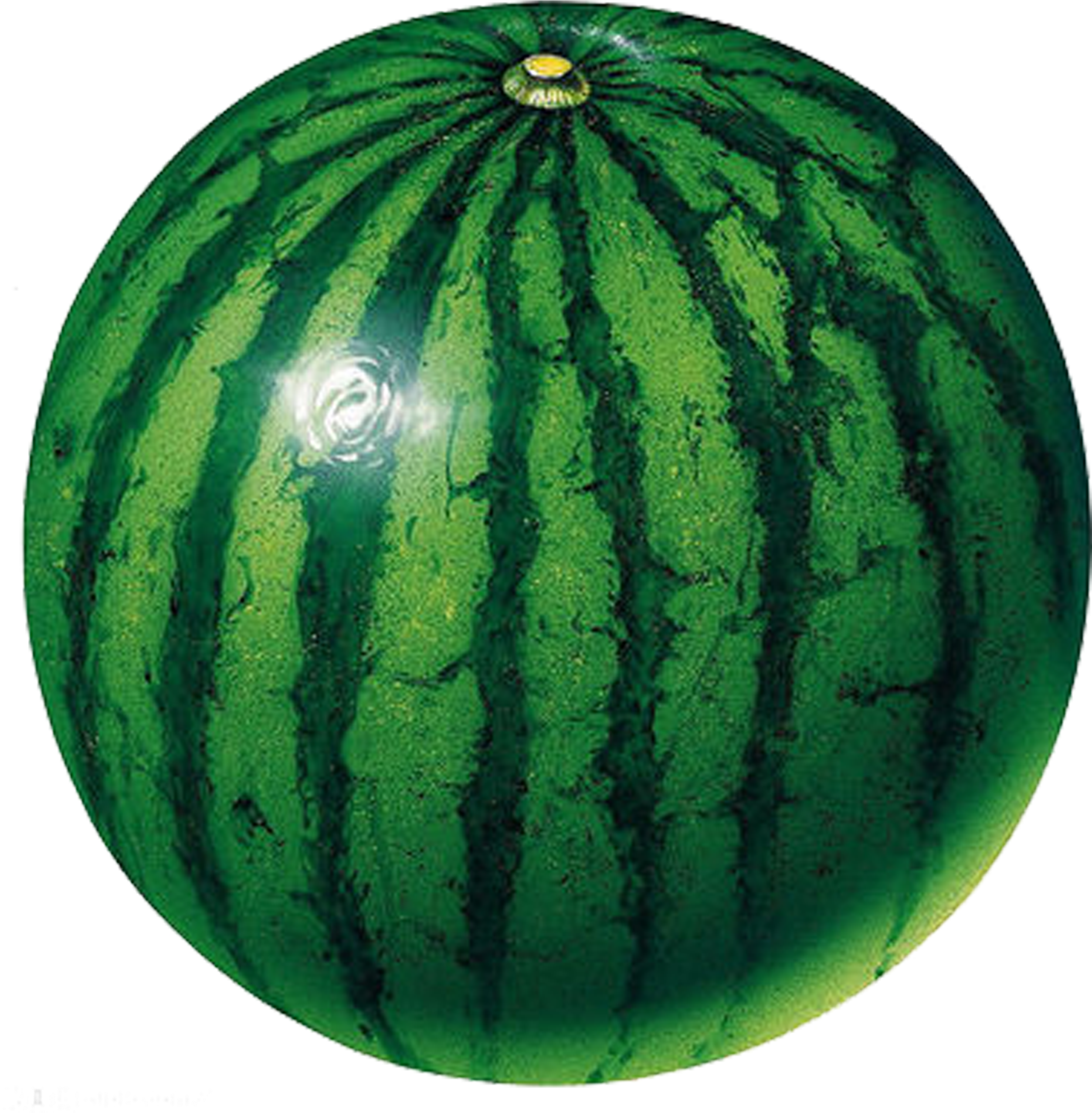 Circle Shape Fruit Clip Art - Remeehi 16 Pieces Simple Wooden Jigsaw Puzzles Fruits (2953x2953)