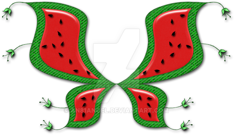Watermelon Fairy Wings By An81angel - Watermelon Fairy Wings (800x480)