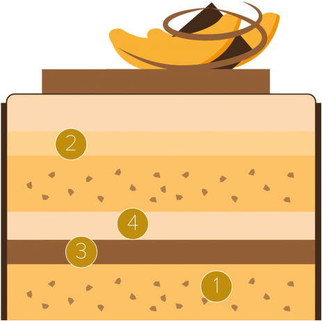 Apricot And Dark Chocolate Cake - Apricot And Dark Chocolate Cake (481x481)