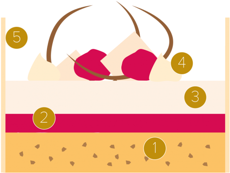 Yoghurt, Rasberry And White Chocolate Cake - Yoghurt, Rasberry And White Chocolate Cake (481x481)