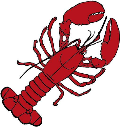 Drawn Lobster Transparent - Red Lobster Throw Blanket (800x600)
