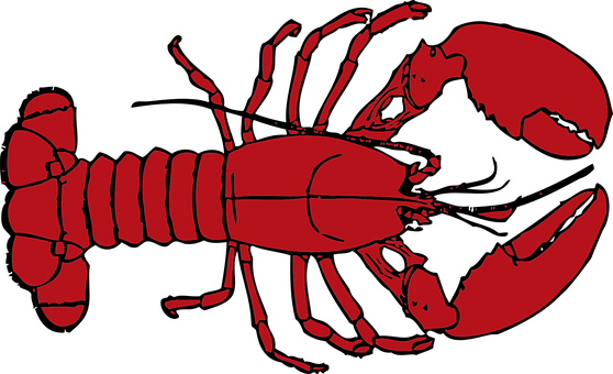 Lobster Red Crab Crustacean Lobster Lobste - Crawfish Clip Art (558x340)