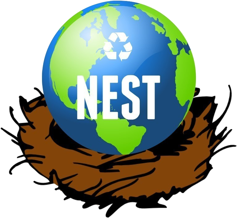 Cartoon Birds Nest Png (784x737)