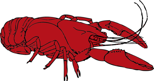 Crayfish Clipart Red - Crawfish Clip Art (500x263)