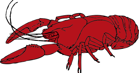 Border - Crawfish Clip Art (540x284)