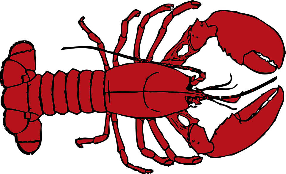 Shellfish Clipart 18, - Crawfish Clip Art (1280x776)