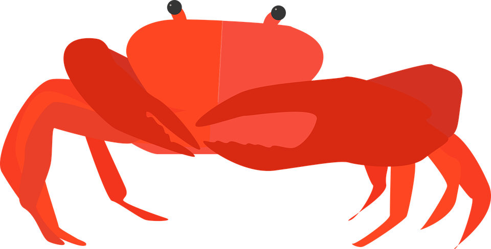 Shellfish Clipart - Cancer Animal Png (1280x651)