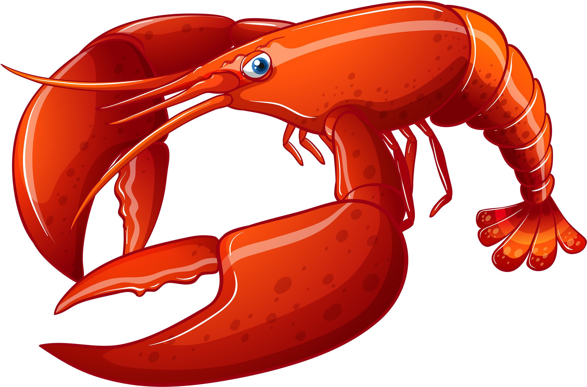 Яндекс - Фотки - Different Types Of Sea Animals (2560x1845)