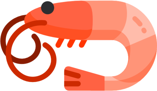 Aquarium Fish - Fishwala (500x500)