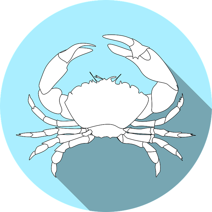 Crawfish Cliparts 29, Buy Clip Art - Crustacean (720x720)