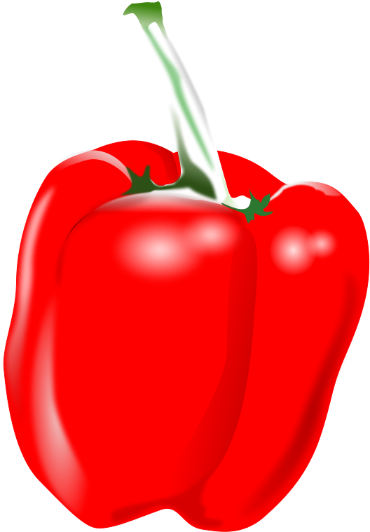 File - Paprika - Svg - Bell Pepper (600x800)