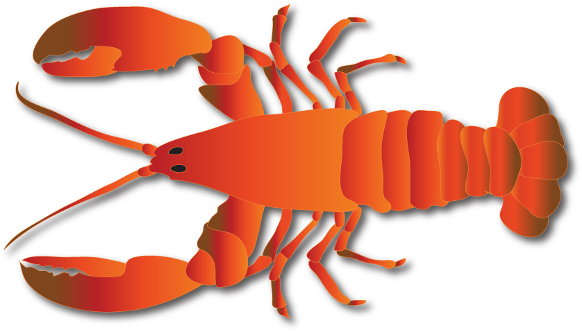 Lobster-1 - Lobster (844x486)