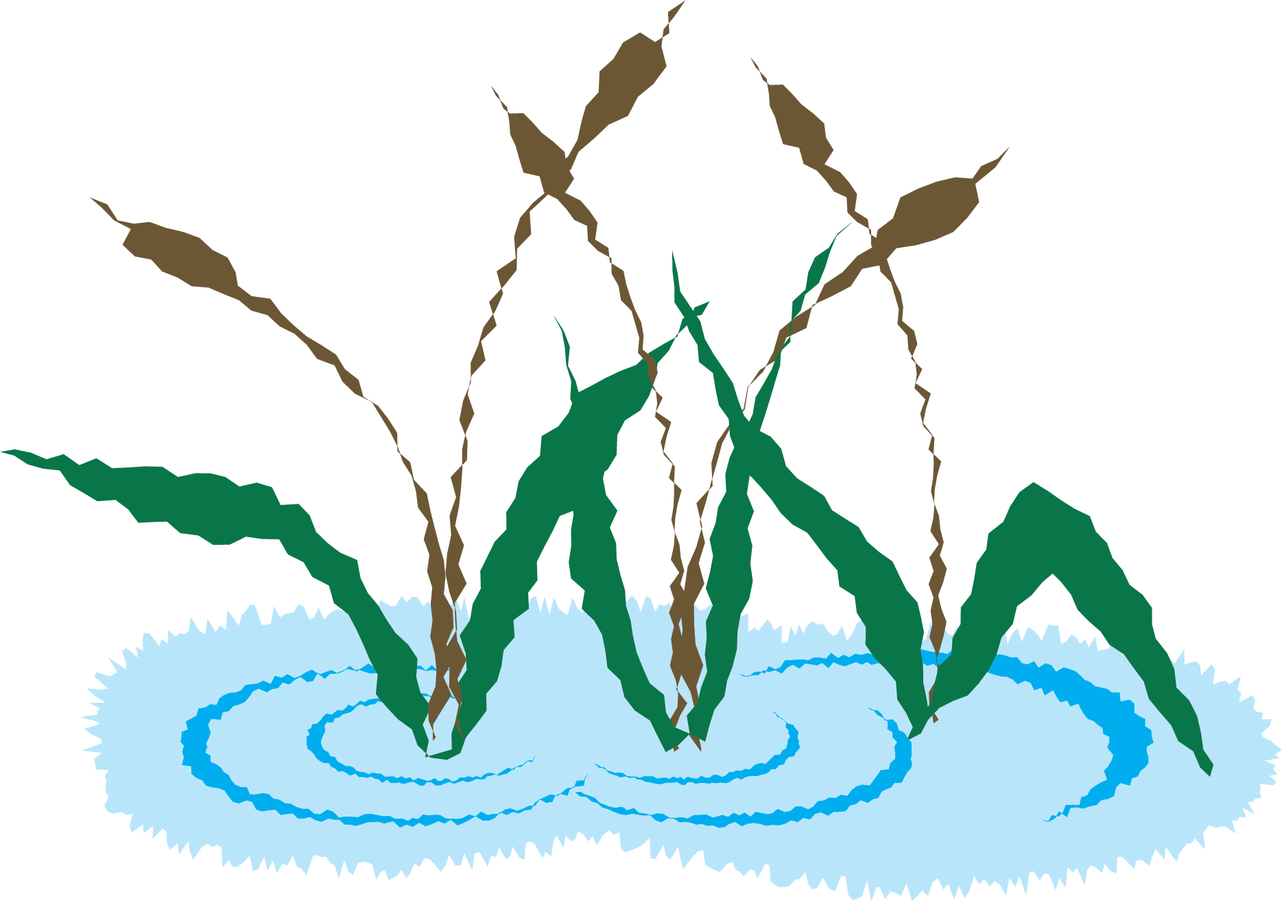 Cattail Plant Illustration Clip Art - Cat (2550x3300)