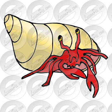 Hermit Crab Clipart Lobster - Hermit Crab (380x380)