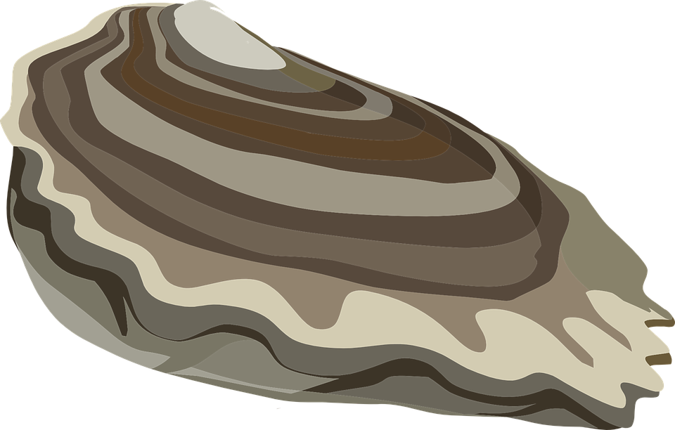 Mussels Clipart Oyster - Oyster Sticker (960x612)