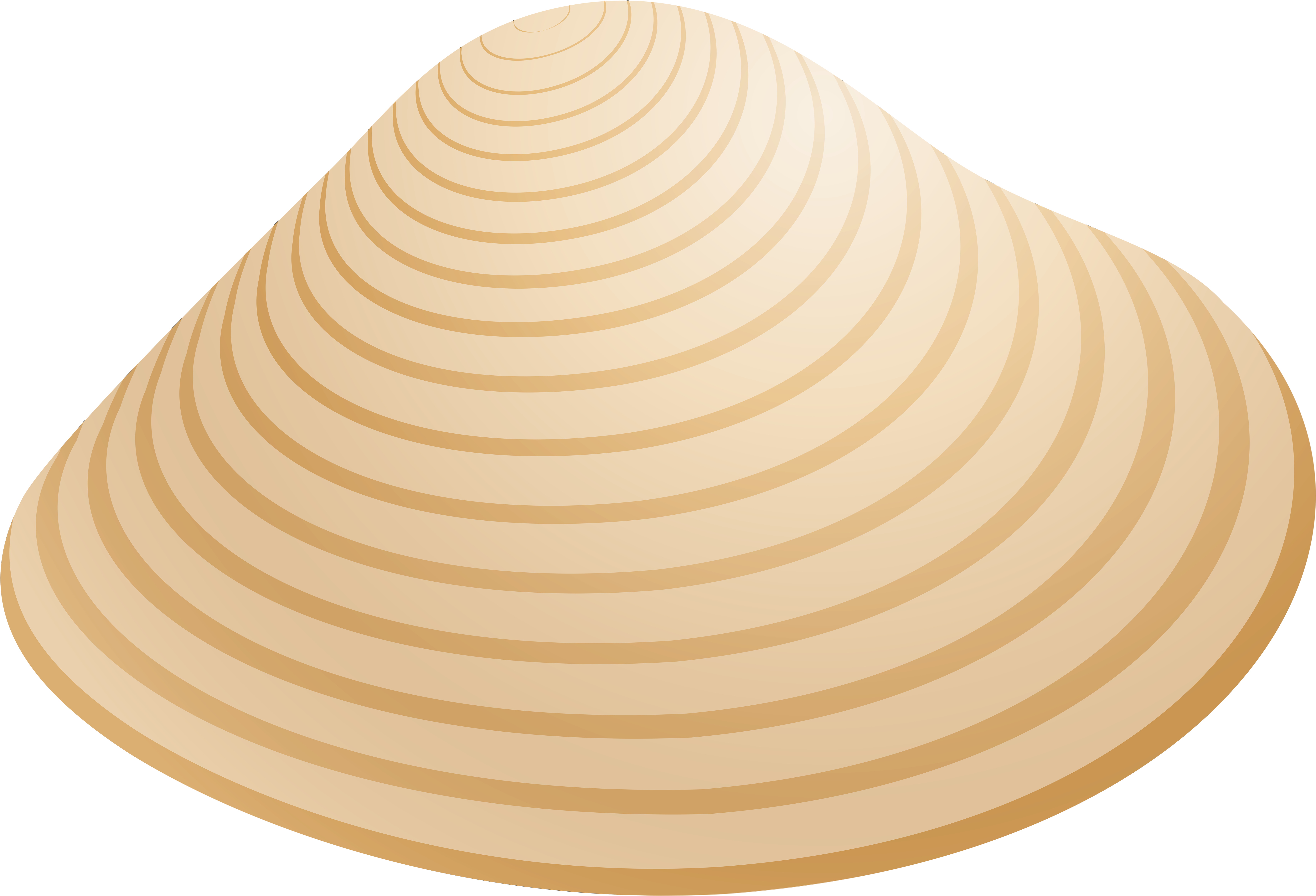 Shell Clipart Clam - Baltic Clam (7000x4812)