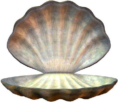 Clam (500x452)