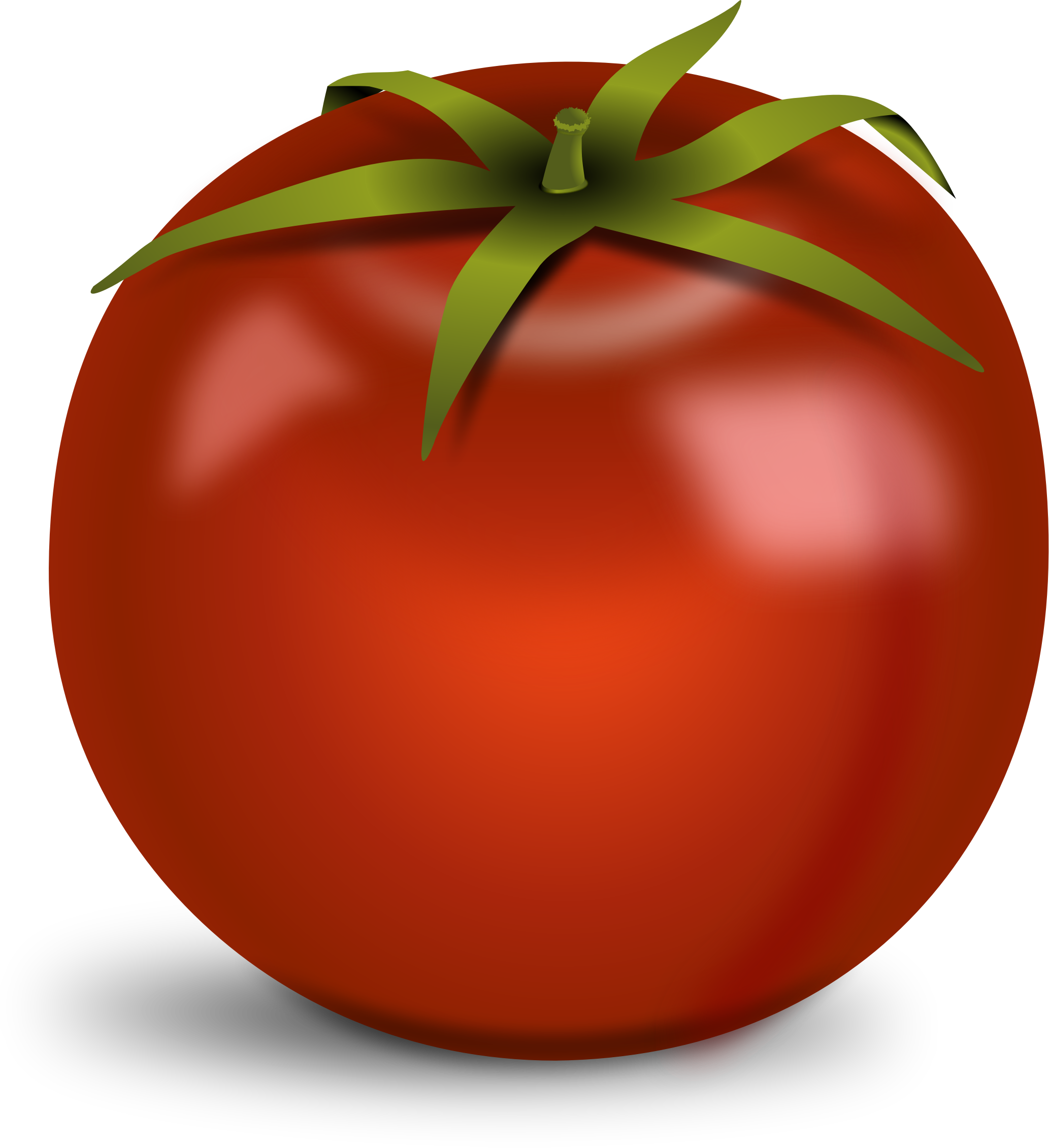 No Tomatoes Small Clipart - Tomato With No Background (2066x2262)