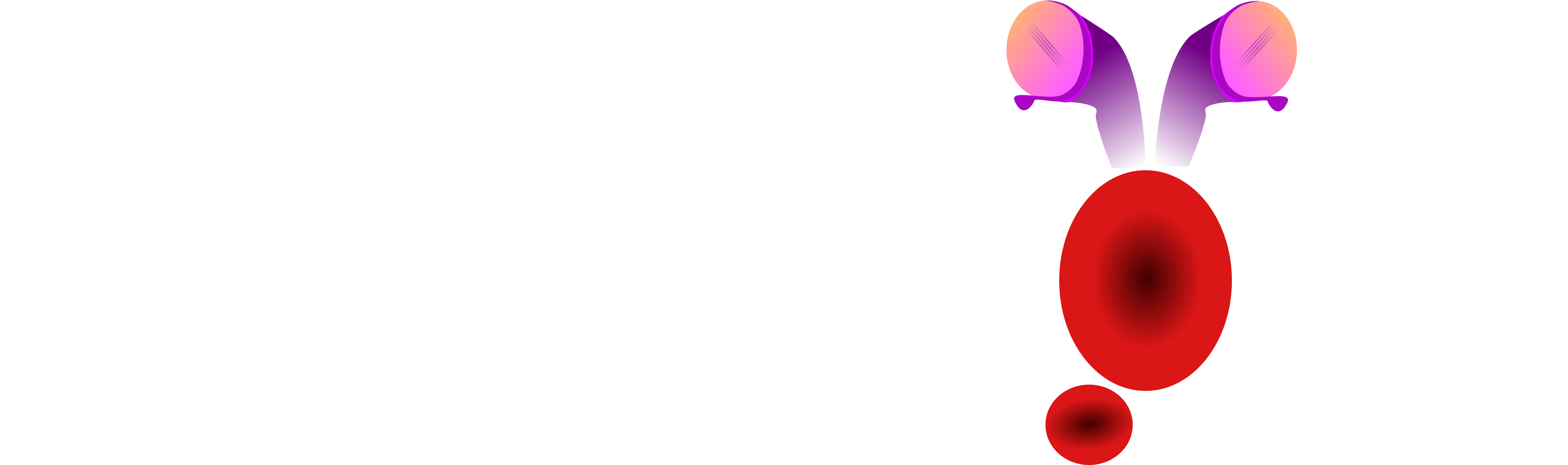 Illustration (4679x1927)