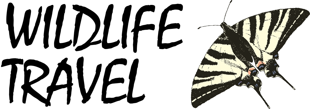 Wildlife Travel - Wildlife Travel (1071x378)