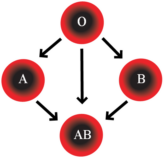 Blood Types - Abo Blood Group System (570x549)