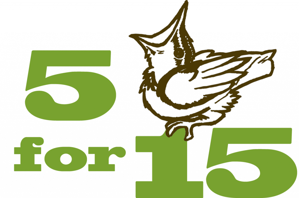 Please Never Attempt To Raise A Baby Bird On Your Own - Graphic Design (1024x681)