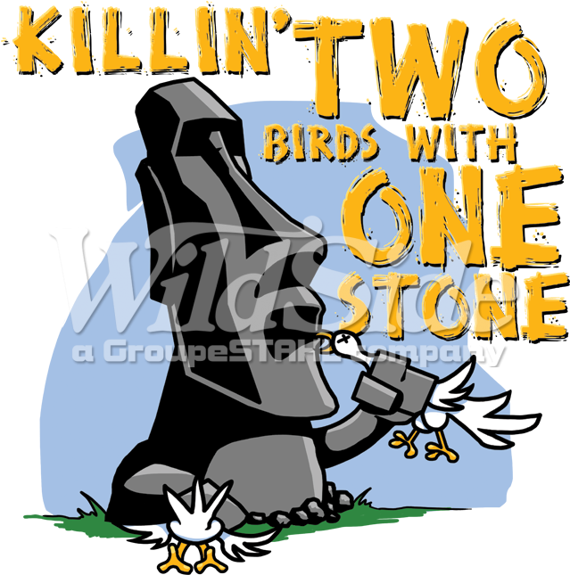 Killin' Two Birds With One Stone - Cartoon (675x675)