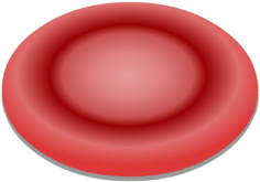 Unlabelled Image Of A Red Blood Cells - Circle (770x406)