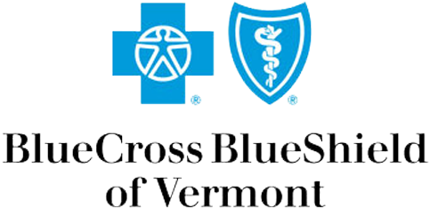 Blue Cross Blue Shield Vermont - Blue Cross Blue Shield Of Illinois (500x261)